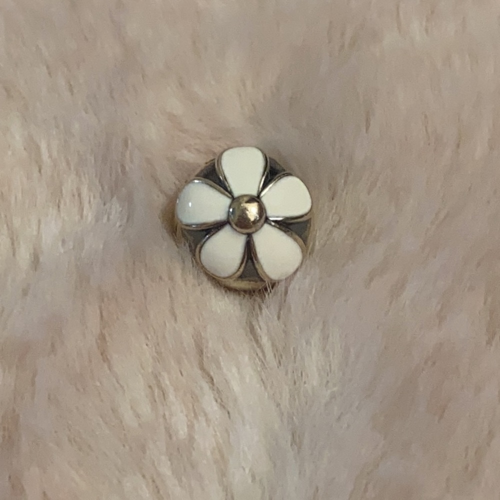 Pandora Charm